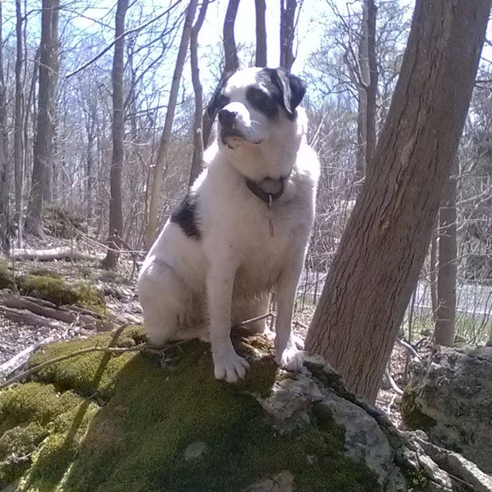 Meet your Posher, Vanessa